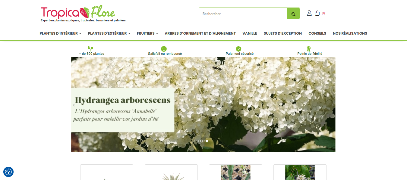 Screenshot of Tropicaflore's website featuring exotic plants